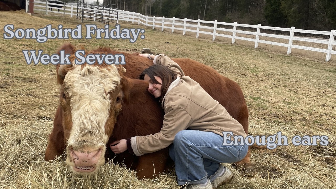 Songbird Friday:Week Seven (Enough Ears)
