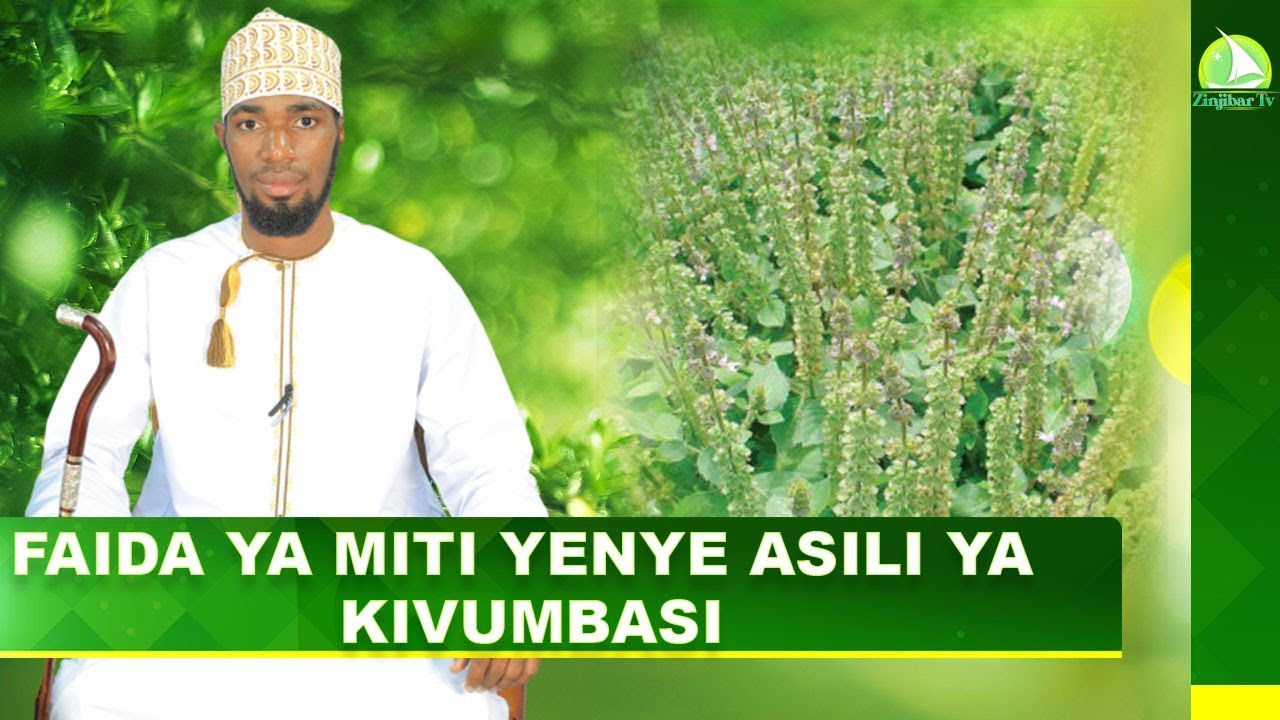 LIVE: FAIDA YA MITI YENYE ASILI YA  KIVUMBASI