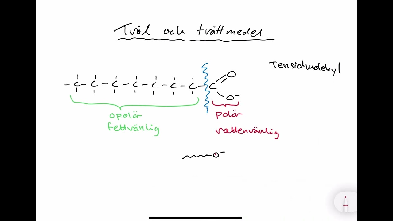 Tensider (Hur fungerar tvål och tvättmedel) (CA)