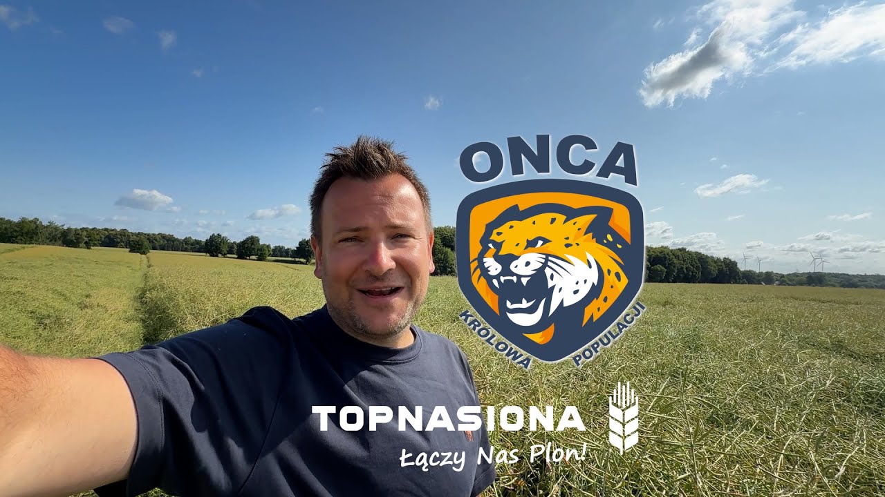 Rzepak #ONCA - kr&oacute;lowa👑 populacji w GR @Bardowscy