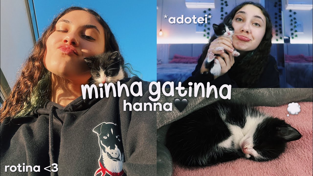 adotei uma gatinha🐈‍⬛🖤 *vlog*