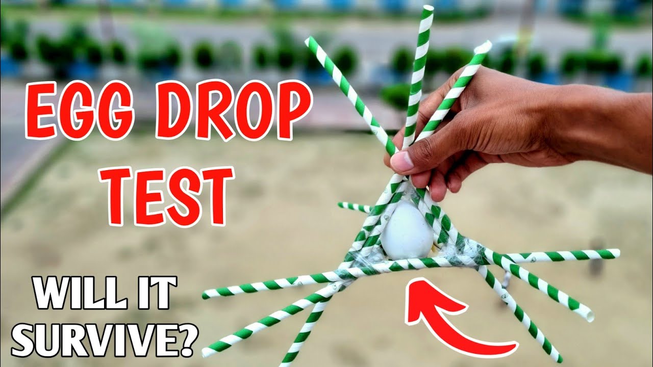 Extreme Egg Drop Test Using Straws From 50 Ft. | क्या अंडा🥚 बच पाएगा? | Egg Science Experiment.