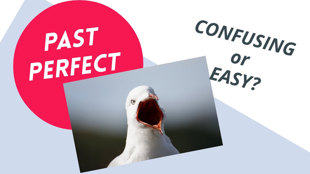 Past Perfect Simple/ Forms/ Uses and Time Expressions/ English Grammar Lessons