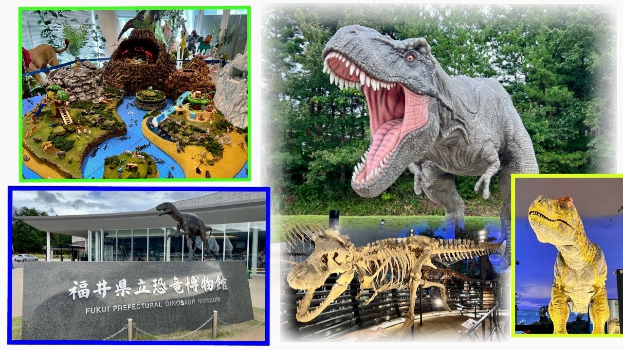 アニアスペシャルブースを見に 福井県立恐竜博物館へ行って来ました!