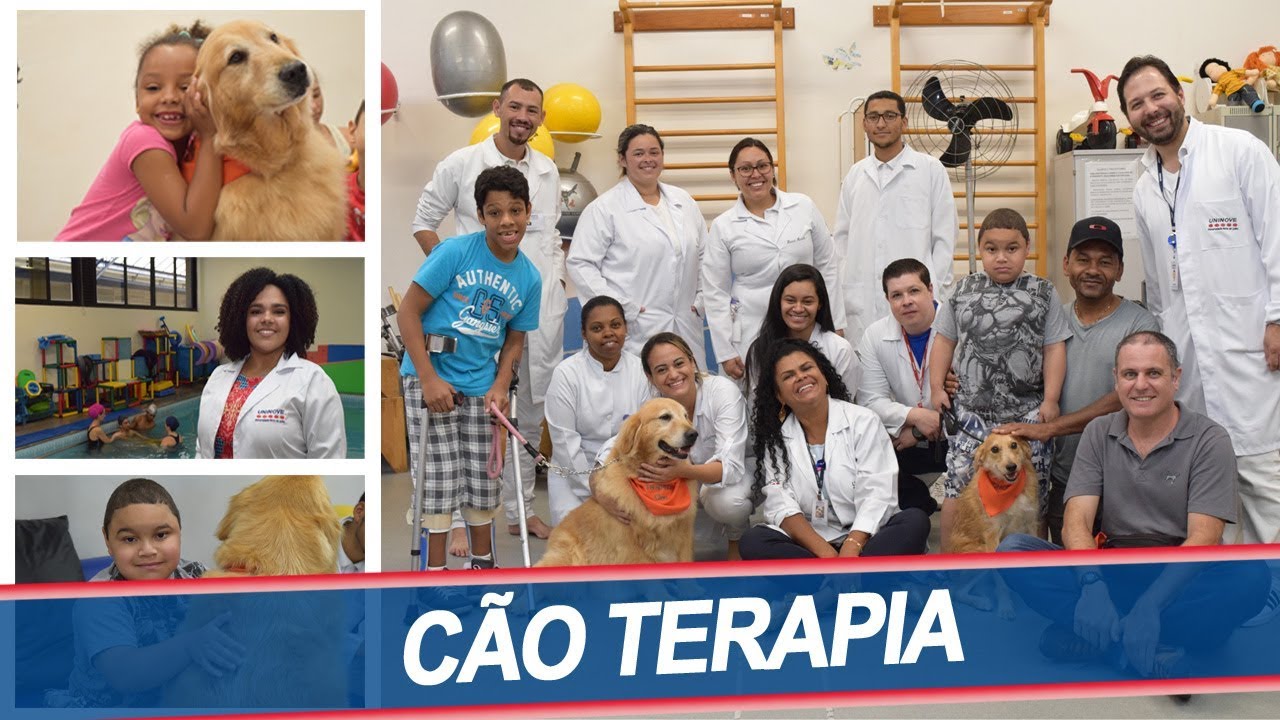 Terapia Assistida por Animais