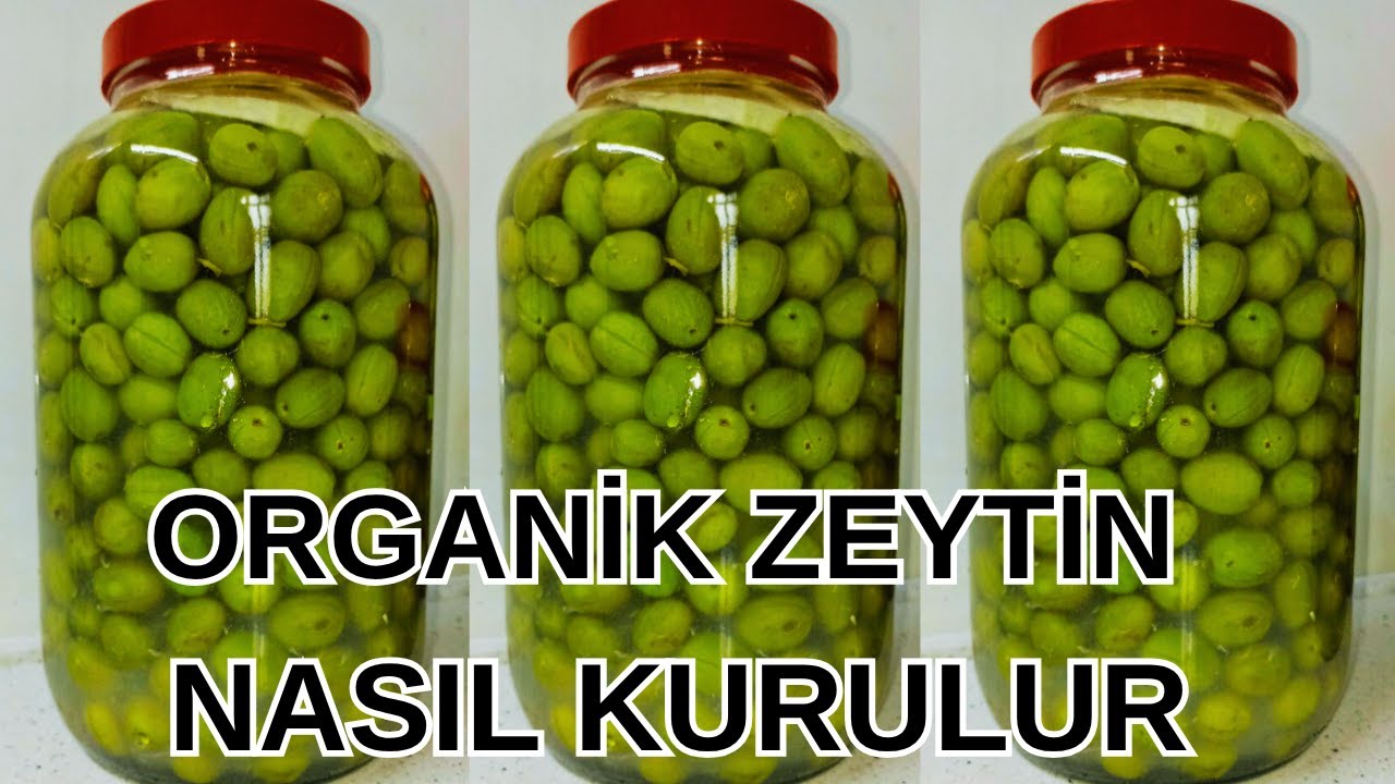 YILLARCA ERİMEYEN! 5 Dakikada Evde Zeytin Nasıl Kurulur