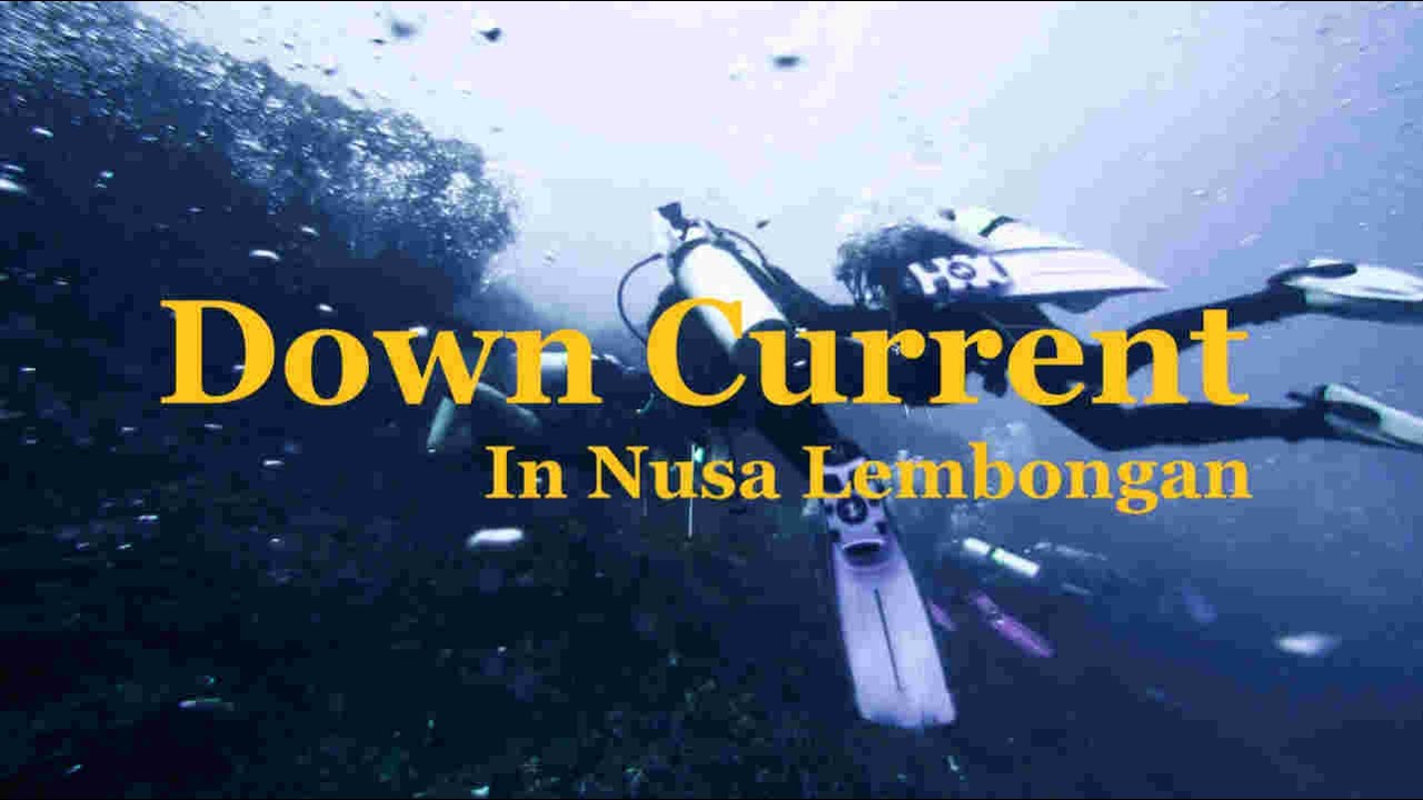 Diving in Nusa Lembongan - Blue Corner Down Current
