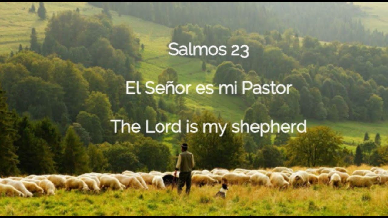 Salmo 23 El Señor es mi Pastor