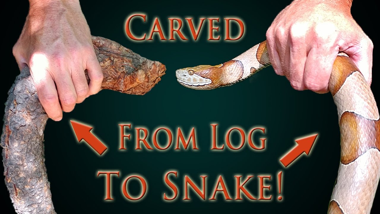 Finding Wood for Carving a Snake Walking Cane