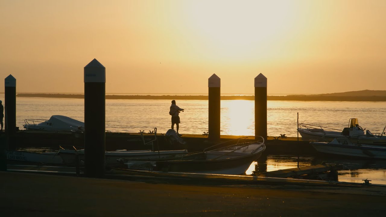 Simple But Pretty #56 (Sigma FP | Cinema DNG Raw | Canon EF 24-105)