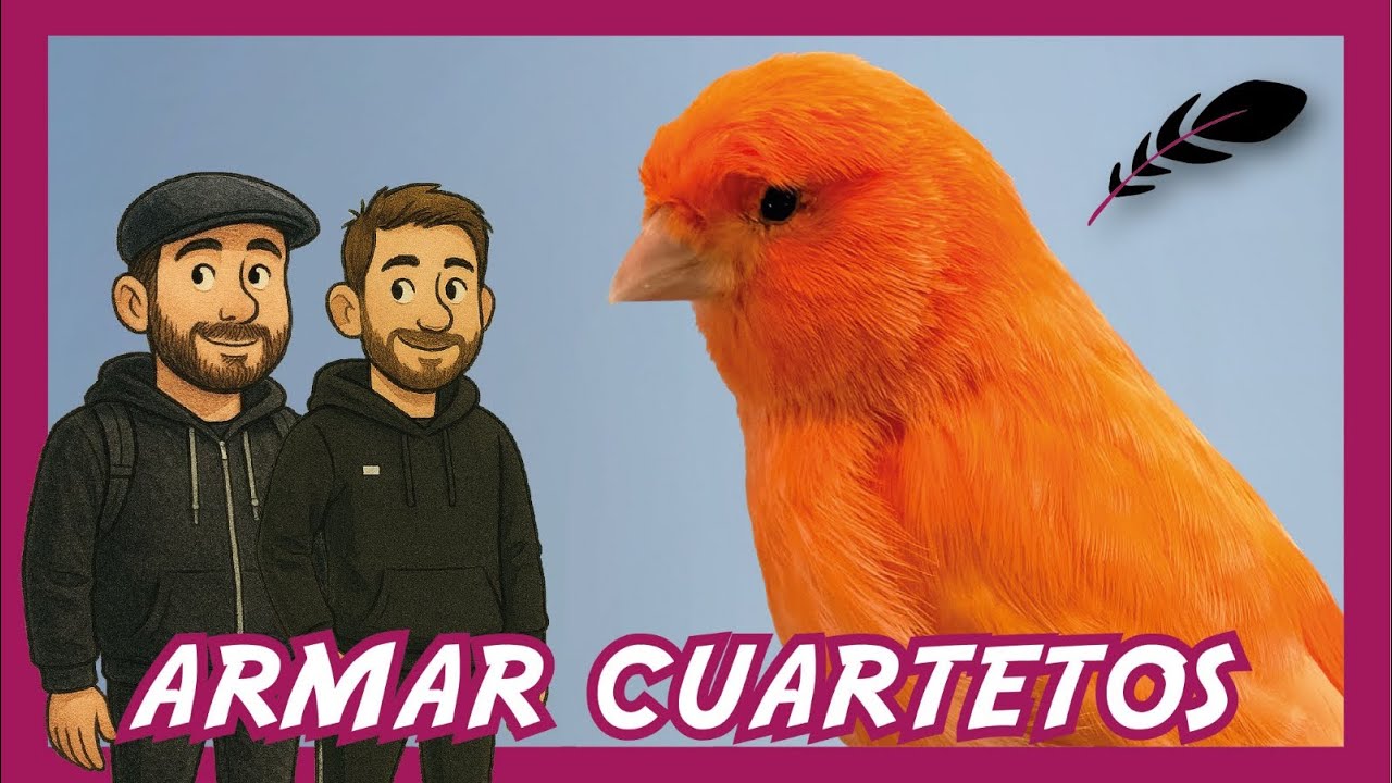 Cuartetos/Equipos en Canarios: Qué es, cómo se arma y por qué ganar tiene tanto prestigio