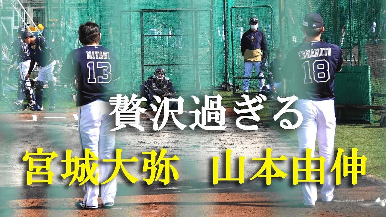 山本由伸ブルペン投球（2023 0208）