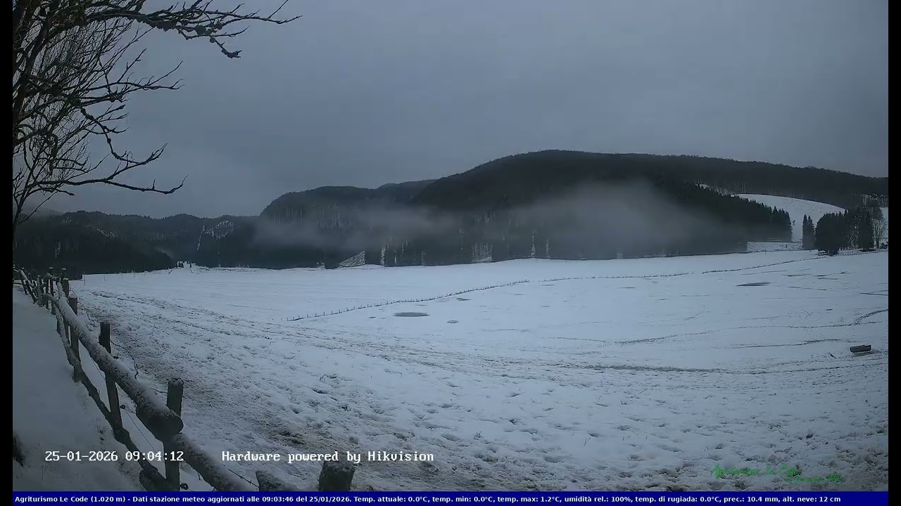 2026-01-25 Webcam Cansiglio - verso la piana dei 