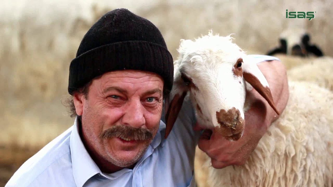 İSAŞ GIDA YEM