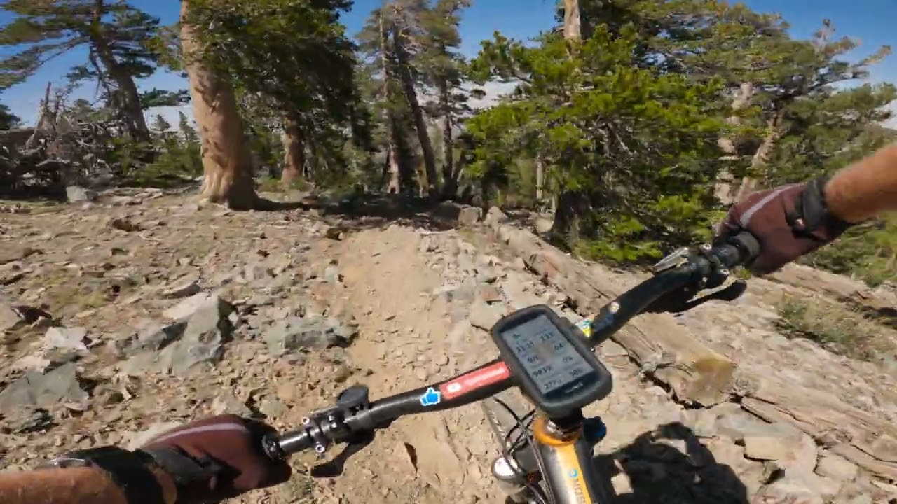 Sugarloaf is not everyone's cup of tea.   Raw backcountry MTB goodness near Big Bear