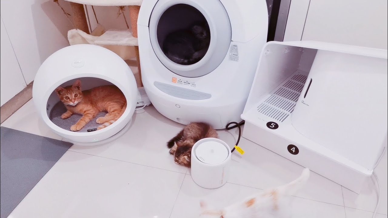 บ้านแมวอัจฉริยะปรับอุณหภูมิผ่านแอพมือถือได้ Petkit​ Cozy Smart Pet​ House @FarisFun​ EP.​ 197