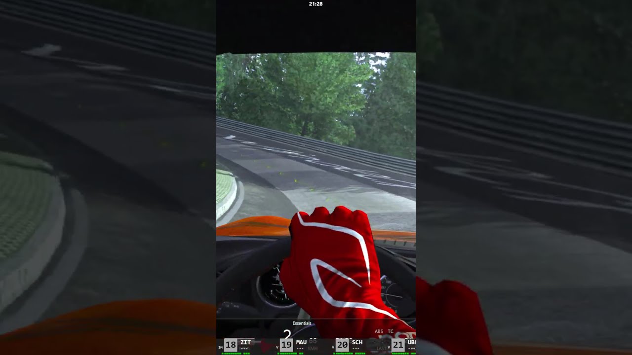Assetto Corsa: Ultimate Edition Vol. 6 - Vertical Orientation