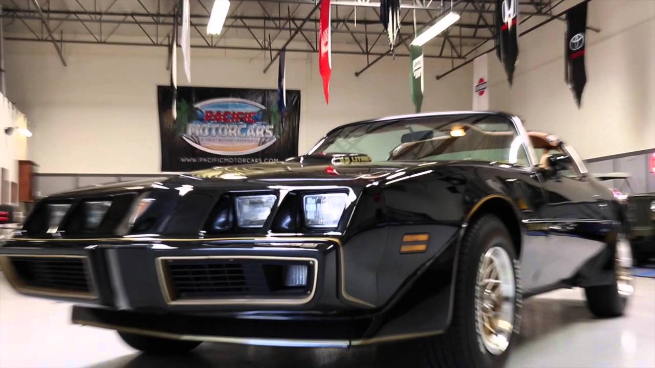 1979 Pontiac Trans Am Y84 Special Edition!