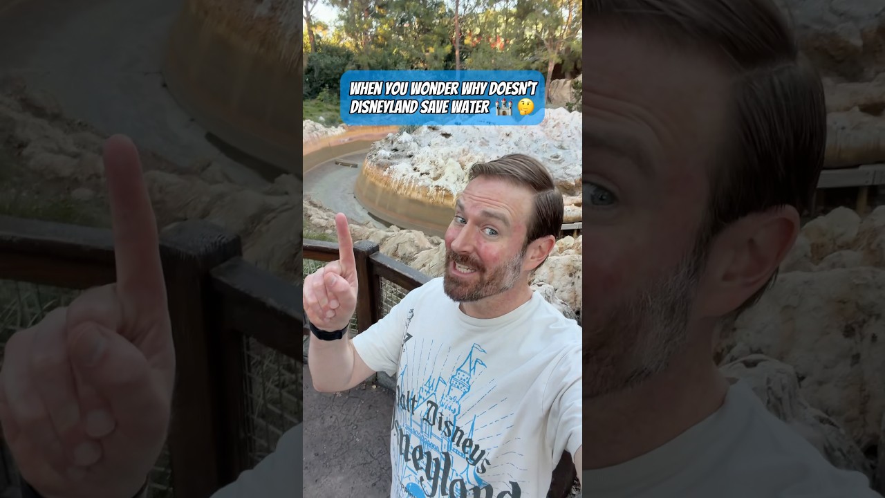 🏰🤔 Интересно, как Диснейленд экономит воду?