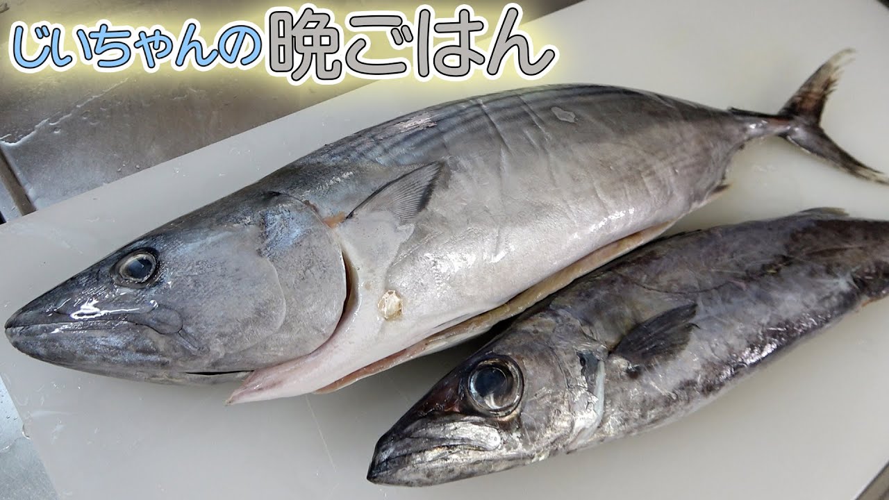 【爺ちゃんの晩御飯】熟成させたハガツオのお寿司にじいちゃんも大満足！！