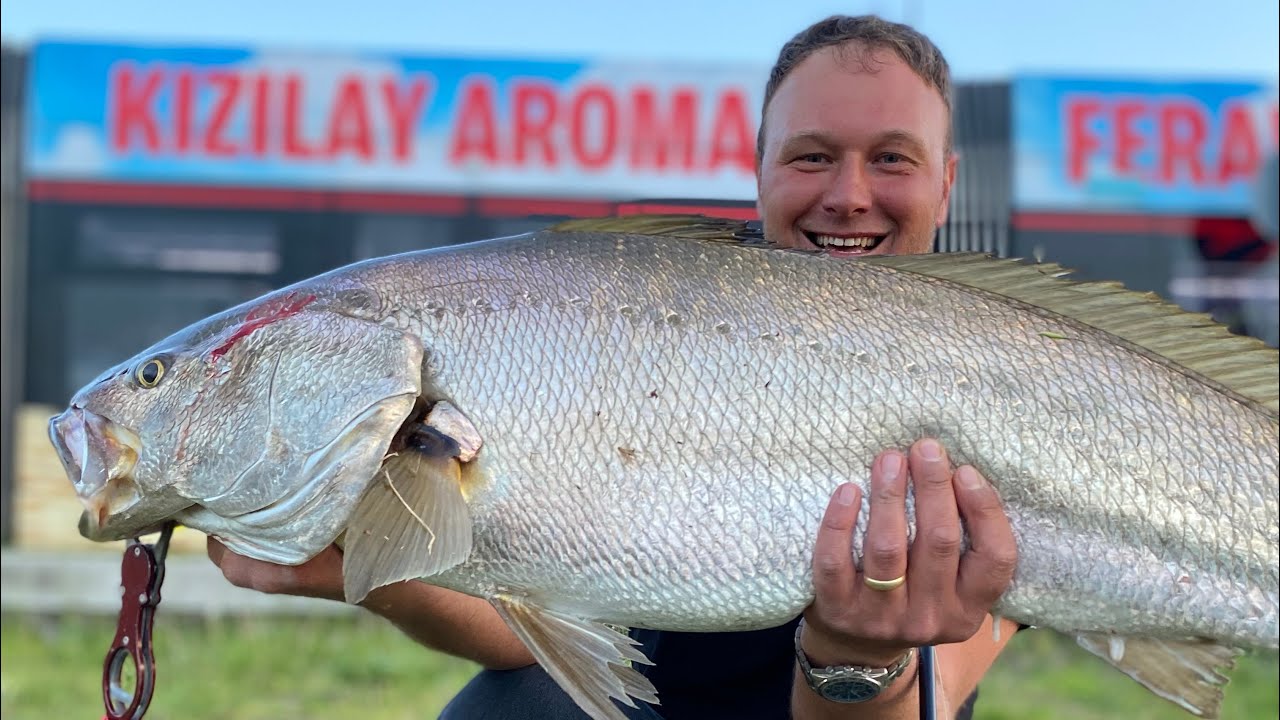 Shore jigging ile granyöz avı #mulloway #whiteseabass #jewfish