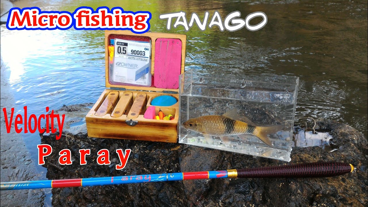 Micro Fishing Tanago, Review singkat dan tes langsung tegek Velocity Paray