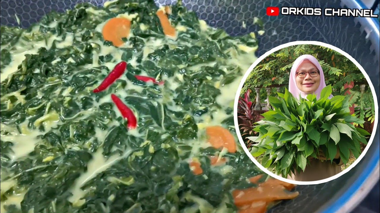 Resepi Masak Lemak Pucuk Ubi | Tips Orang Lama