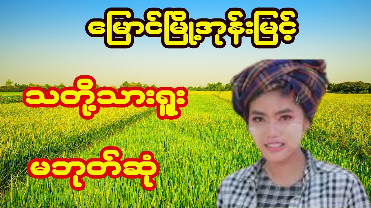 ကြည်နှုးစေမဲ့တောသဘာဝတေးများ(မြောင်မြို့အုန်းမြင့်) #မြန်မာသီချင်း #music