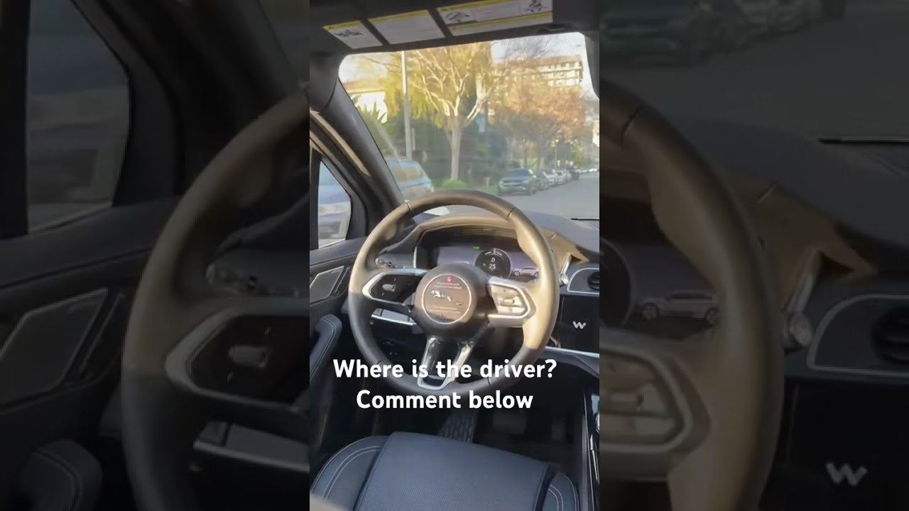 Spot the driver 