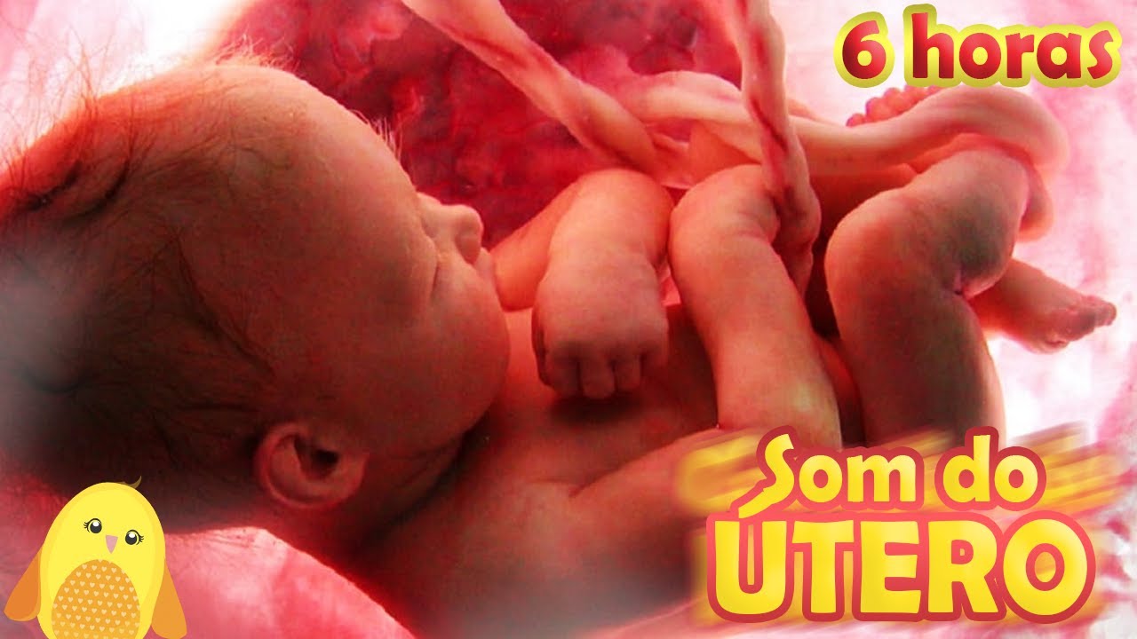 6 HORAS DE SOM DO UTERO ORIGINAL PARA BEBE DORMIR, TELA ESCURA - Mimi o passarinho para dormir