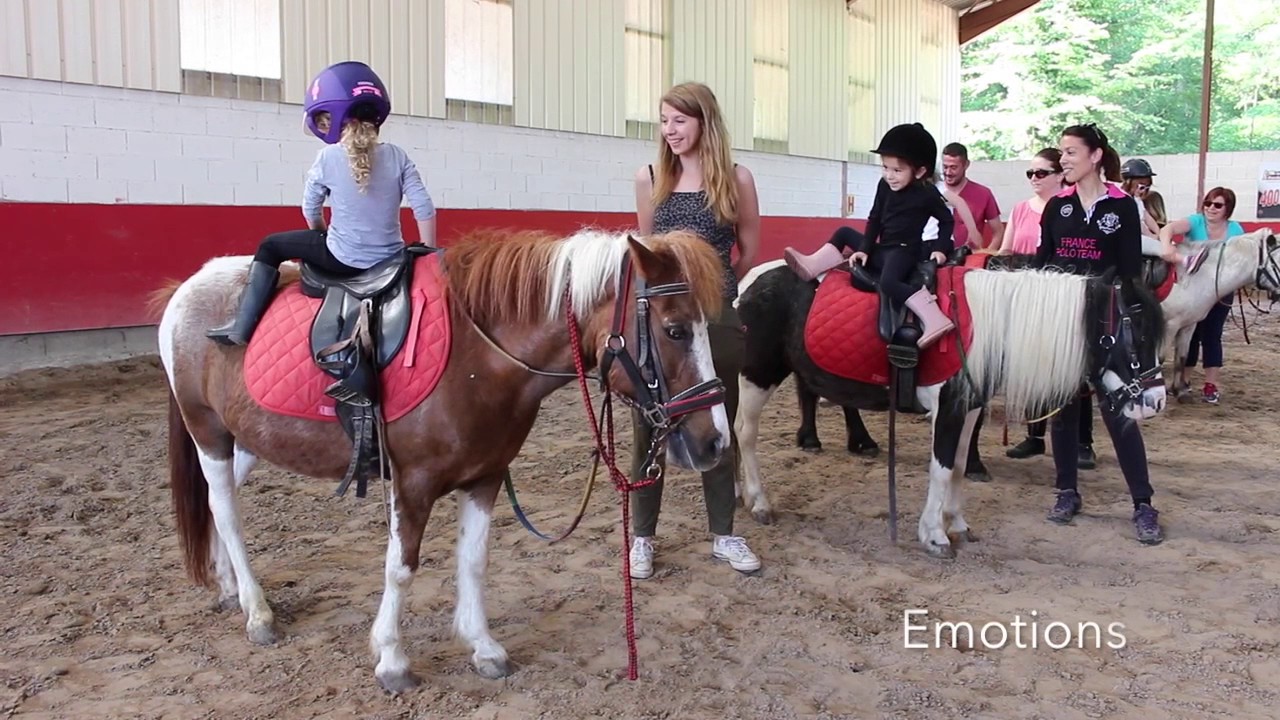 Baby poney