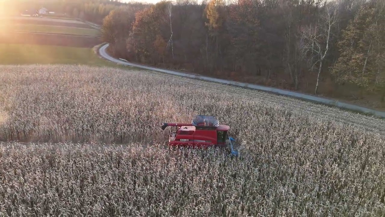 CASE 6088 AXIAL FLOW - kukurydza 2025