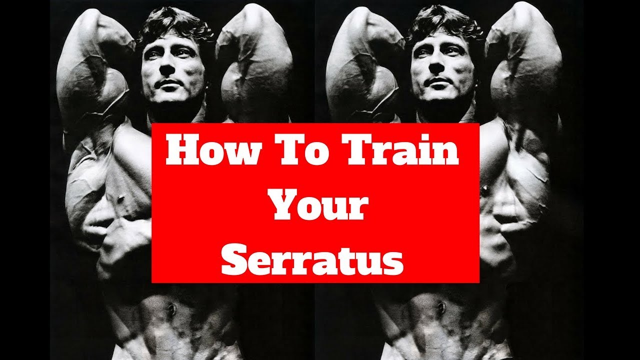 How To Work Your Serratus (frank zane method)