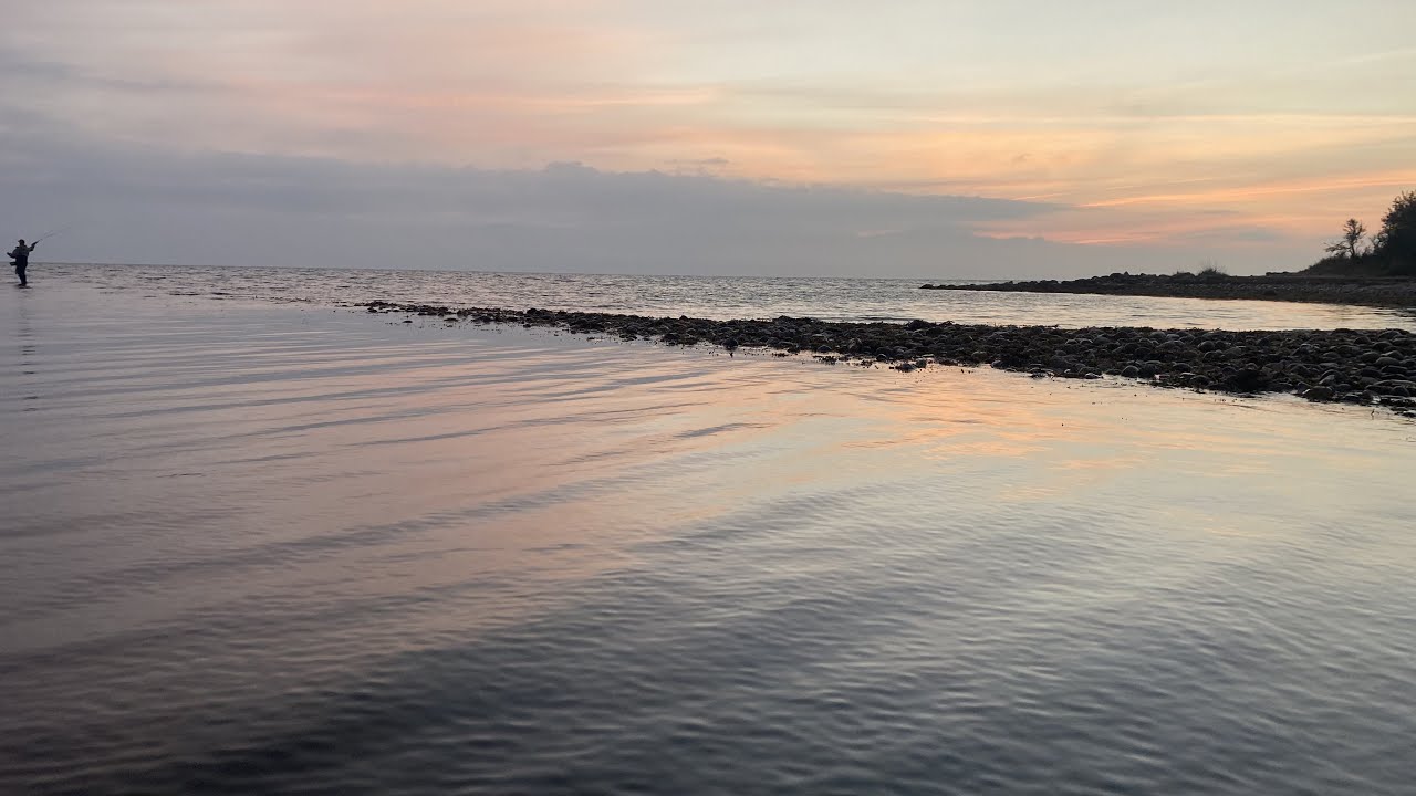 Seatrout Open 2021 - Autumn 🎣🌥