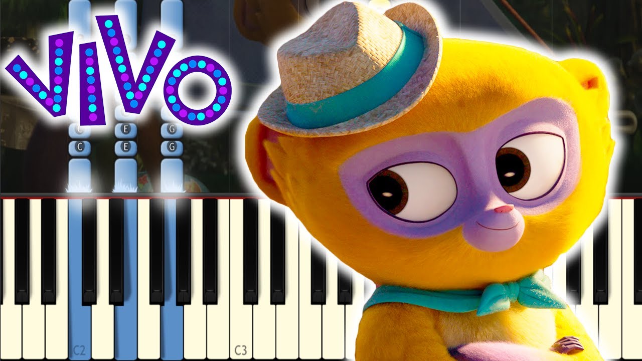 Keep the Beat - VIVO Netflix