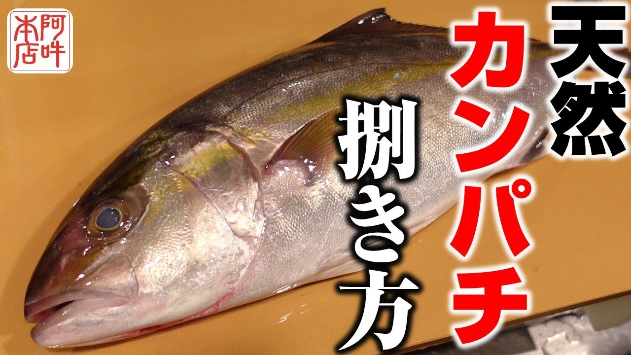 【天然物】旬のカンパチの捌き方！