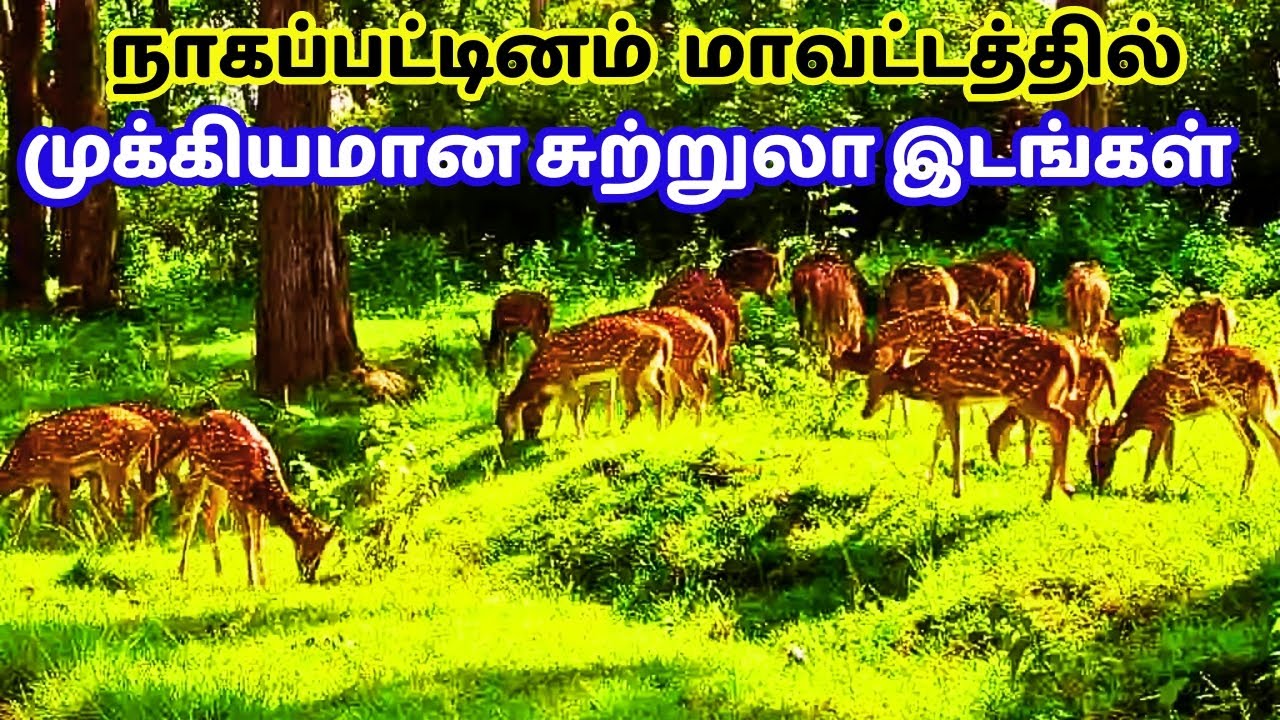 நாகப்பட்டினம் மாவட்டத்தின் சுற்றுலாதலங்கள் | top 10 tourist places in nagapattinam