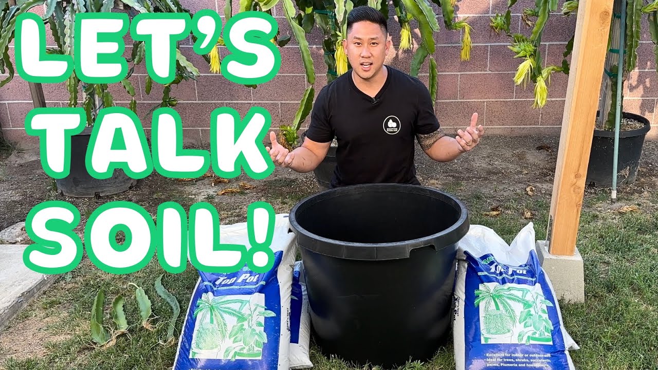 Changing To New Soil For Dragon Fruits - Gary's Best Top Pot Soil