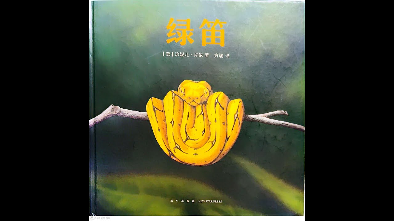 肯侬动物三部曲  绘本故事  《绿笛》