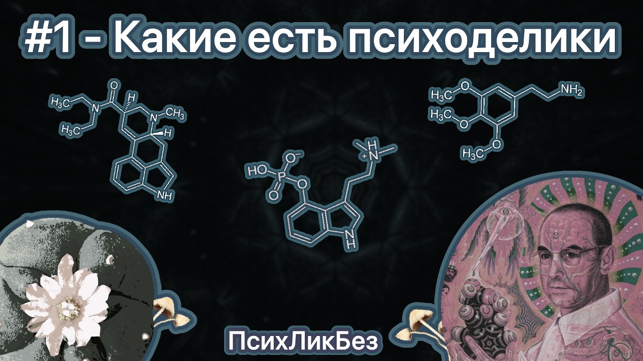 Что такое психоделики? | ПсихЛикБез #1
