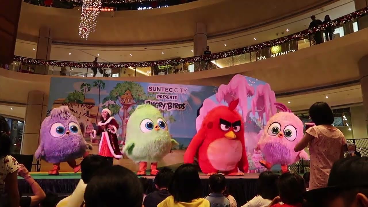 THE - ANGRY BIRDS SHOW