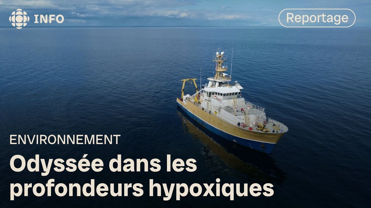 Le Saint-Laurent au bord de l’asphyxie | La semaine verte