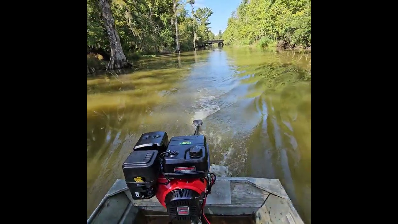 Predator 459cc on a GoDevil Longtail First Impression