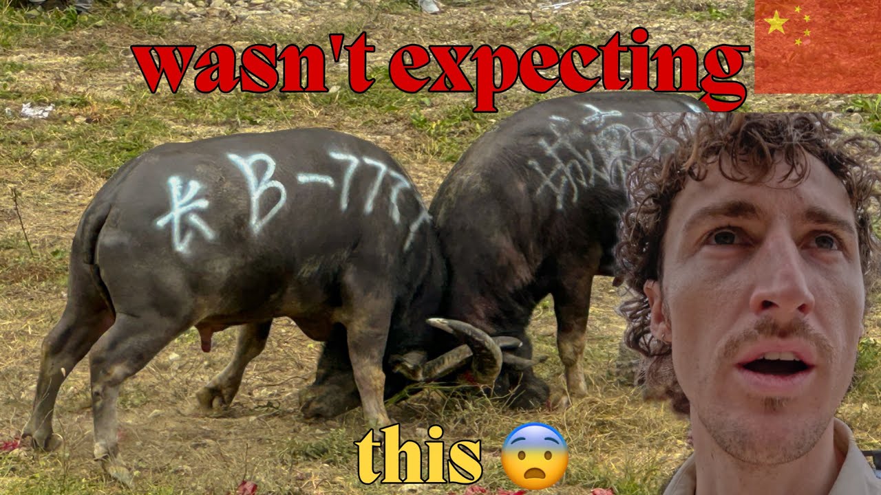 Picked the WRONG DAY to visit RURAL China (Langde 郎德上寨）