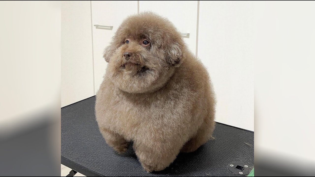 Spire of the Watcher FWR [