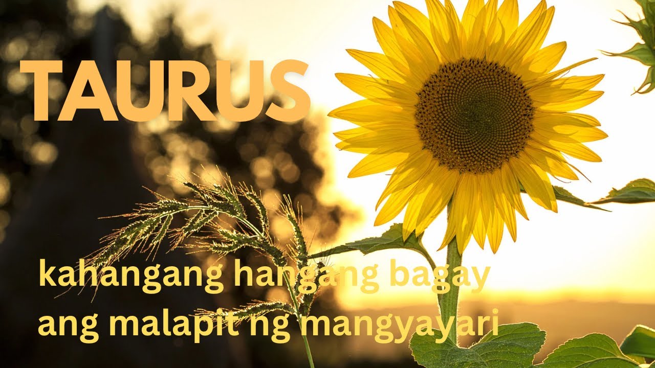 TAURUS ♉️ KAHANGANG HANGANG BAGAY ANG MALAPIT NG MANGYAYARI 🔮🤑🤯💰☘️💃☀️