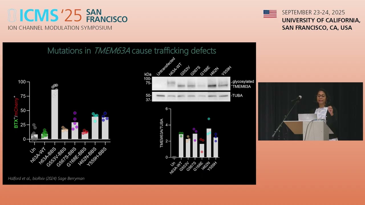 How do cells sense force and why is it important?