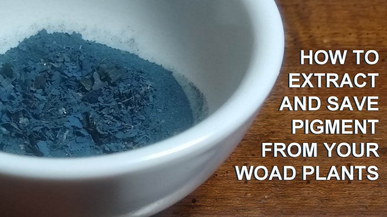 Extracting Pigment from Your Woad Plants - and Saving it for Later Use! (Step 5 of My Dream Project)