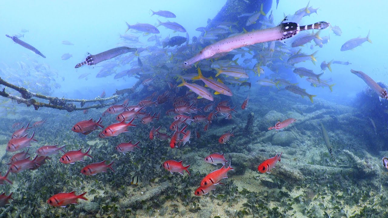 Santa Antao wreck, Cape Verde