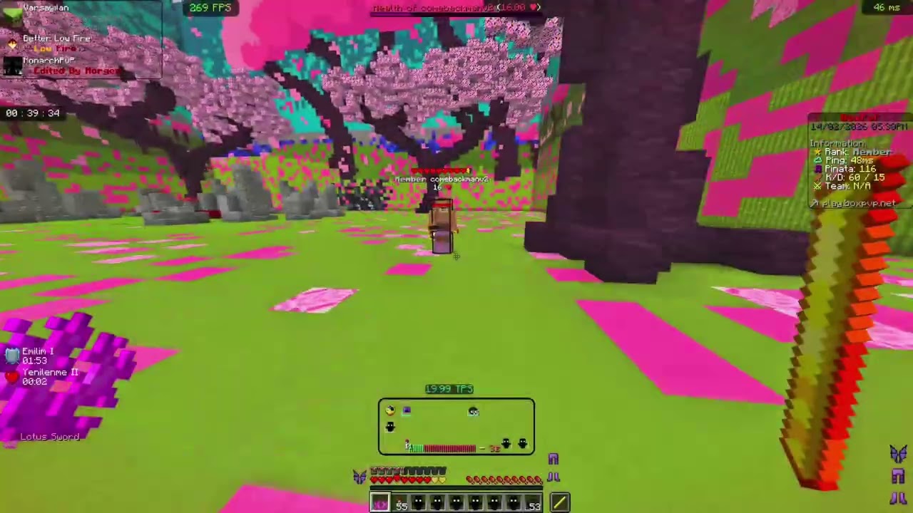 BoxPvp.Net Kill Montage #2
